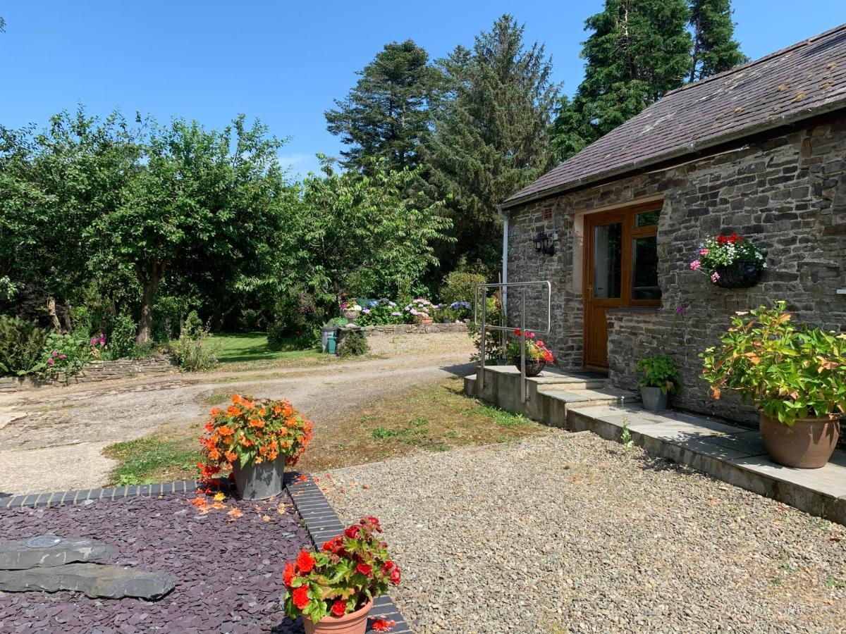 Parc Farm B&B Llanarth  外观 照片