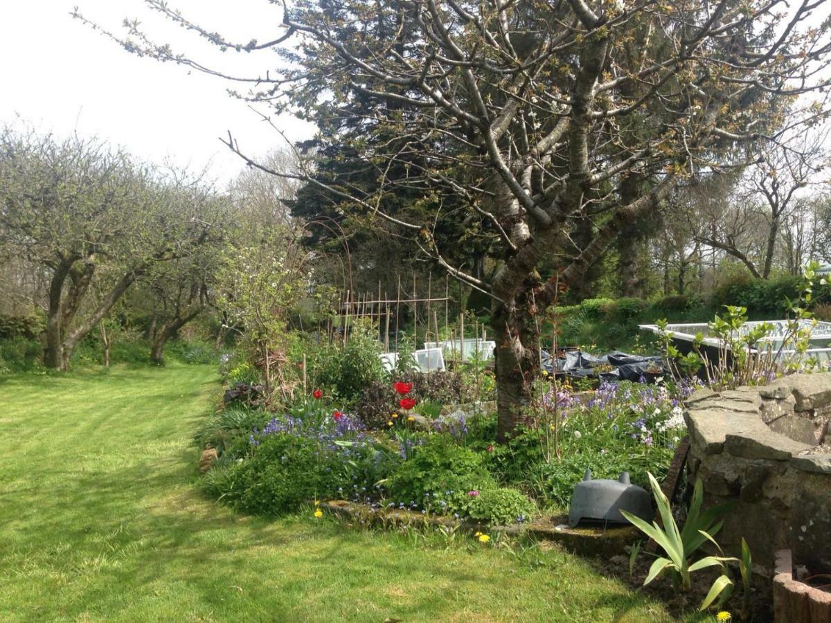 Parc Farm B&B Llanarth  外观 照片